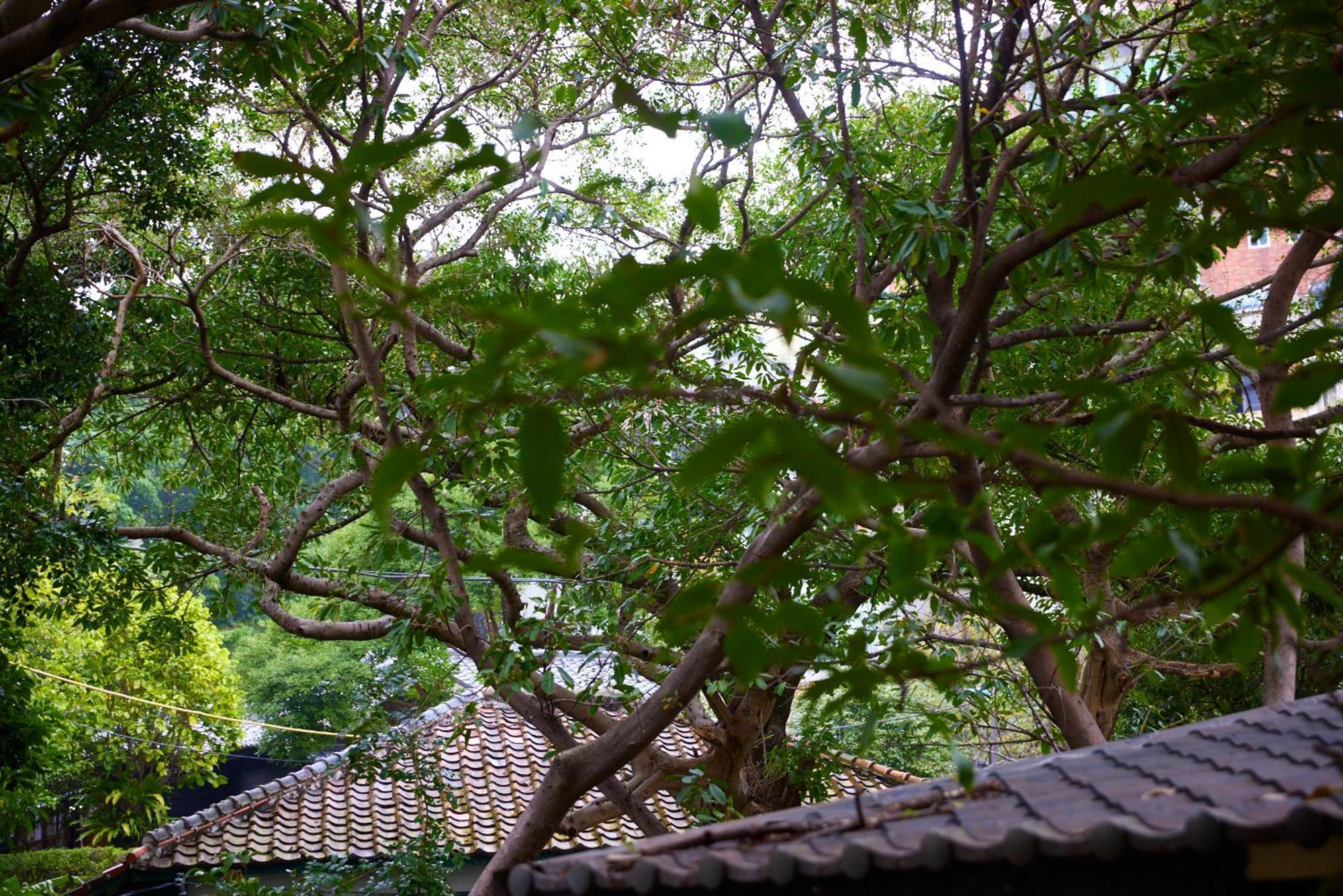Kyokusui Hotspring Hotel Taipei Dış mekan fotoğraf